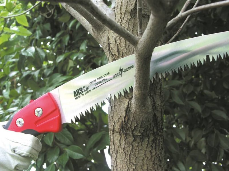 Руководство по выбору инструментов для обрезки в саду