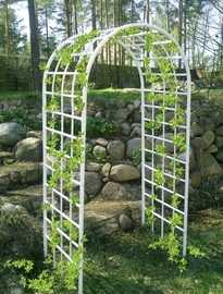 Окрашивание в светлые тона делает арки для сада из металла более нарядными и заметными