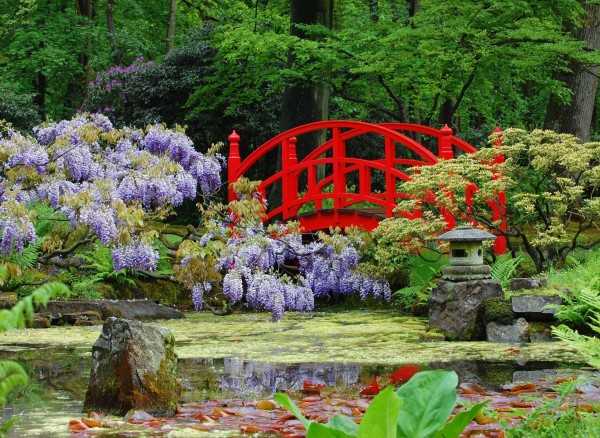 Отлично вписываются астильбы в дизайне сада в японском стиле