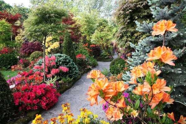 Пейзажный стиль в оформлении сада полюбился за отсутствие четких рамок и огромнейшего выбора растений