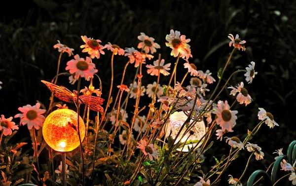 Акцентная подсветка цветочной клумбы