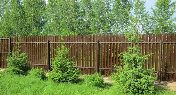 Забор на даче из штакетника своими руками (39 фото): вариант с металлическими элементами